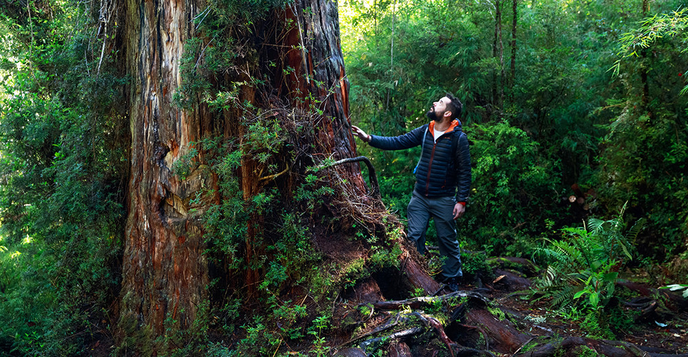 Mietwagenreise nördliche Carretera Austral - Lateinamerika