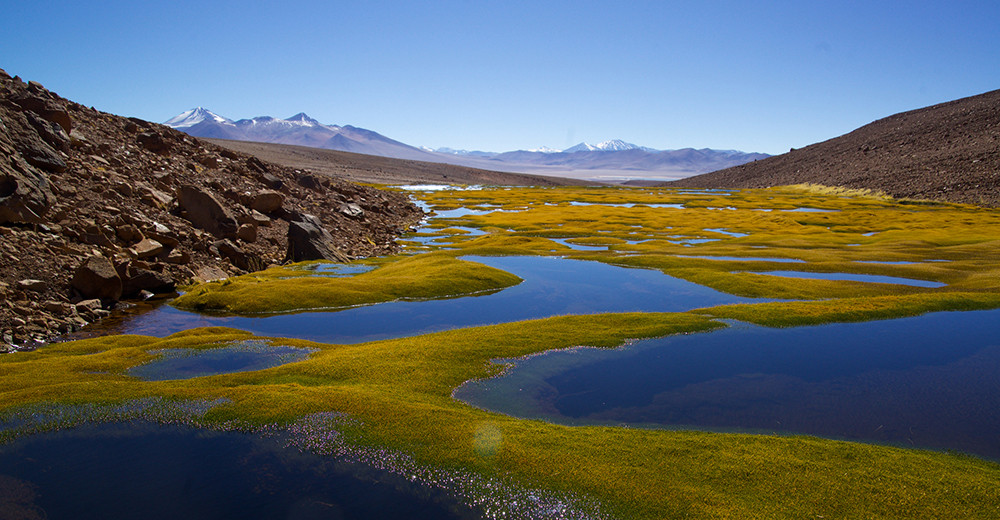 Geführte Mietwagenreise Atacama & Altiplano - Lateinamerika