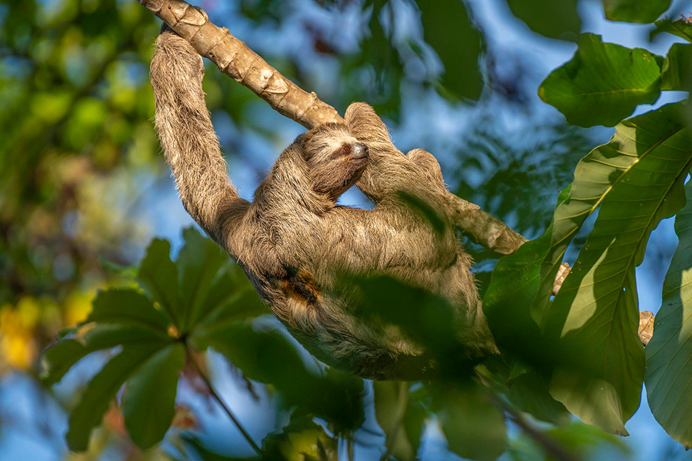 Gruppenreise Naturwunder Brasilien - Lateinamerika