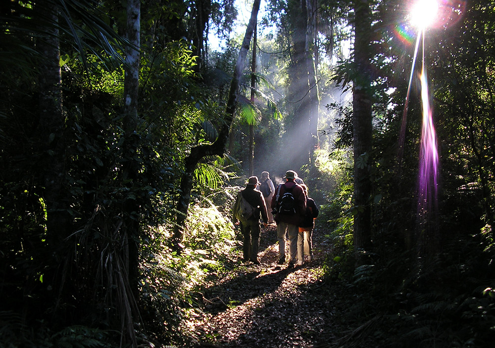 Gruppenreise Naturwunder Brasilien - Lateinamerika