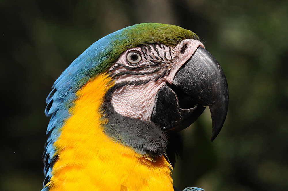 Individualreise Uruguay, Argentinien & Brasilien - Lateinamerika