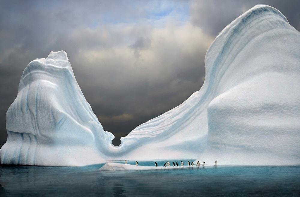 Kreuzfahrt in die Antarktis mit Polar Latitudes - Lateinamerika