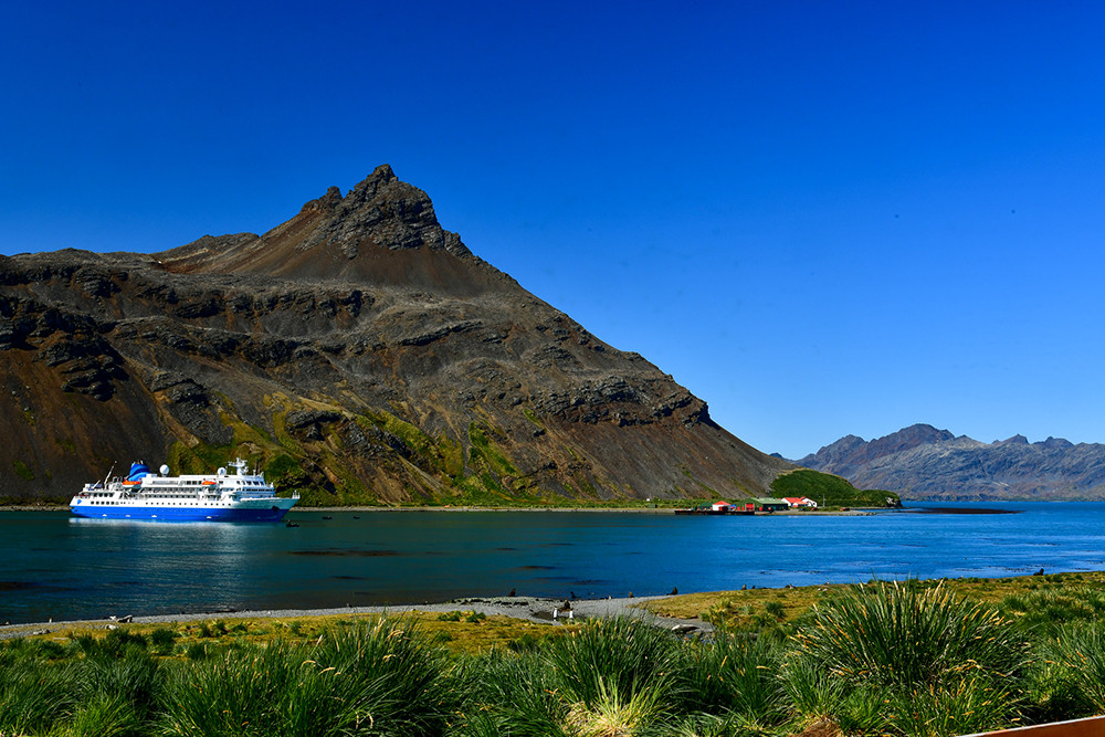 Kreuzfahrt in die Antarktis mit Polar Latitudes - Lateinamerika