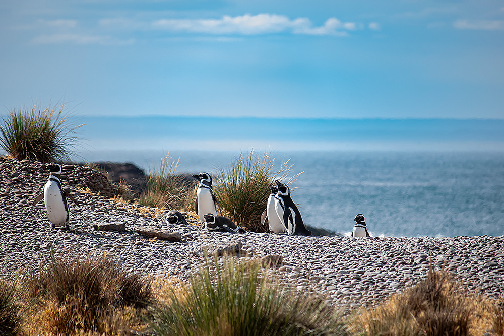 Individualreise Höhepunkte Argentinien - Lateinamerika