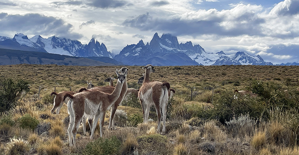Gruppenreise geführte Mietwagenreise Patagonien - Lateinamerika
