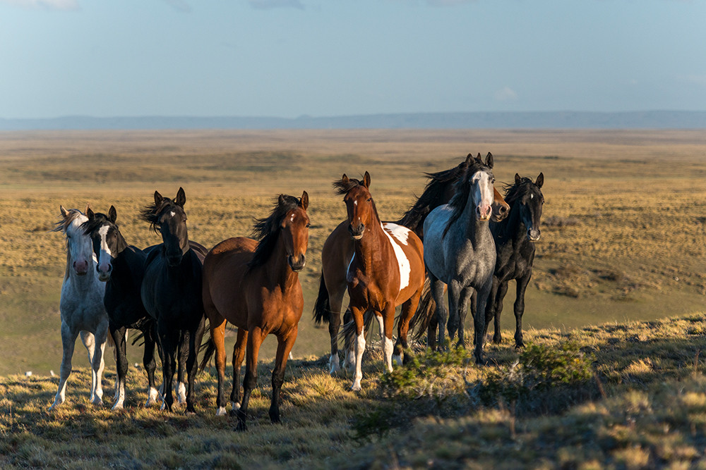 Gruppenreise Chile hautnah: Naturwunder & Begegnungen - Lateinamerika