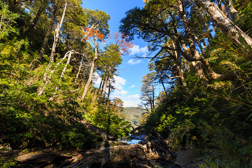Gruppenreise Chile hautnah: Naturwunder & Begegnungen - Lateinamerika