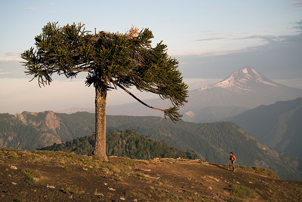 Individualreise aktiv durch das Seengebiet Chiles - Lateinamerika