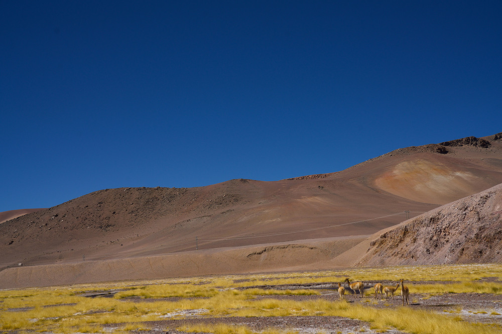 Gruppenreise Chile hautnah: Naturwunder & Begegnungen - Lateinamerika