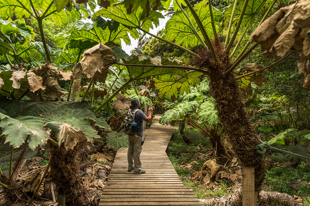 Gruppenreise geführte Mietwagenreise Patagonien - Lateinamerika
