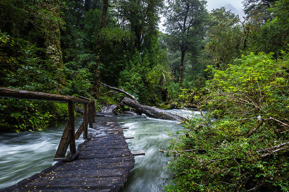 Gruppenreise Nördliche Carretera Austral per eBike - Auf zwei Rädern ins Herz Patagoniens - Lateinamerika