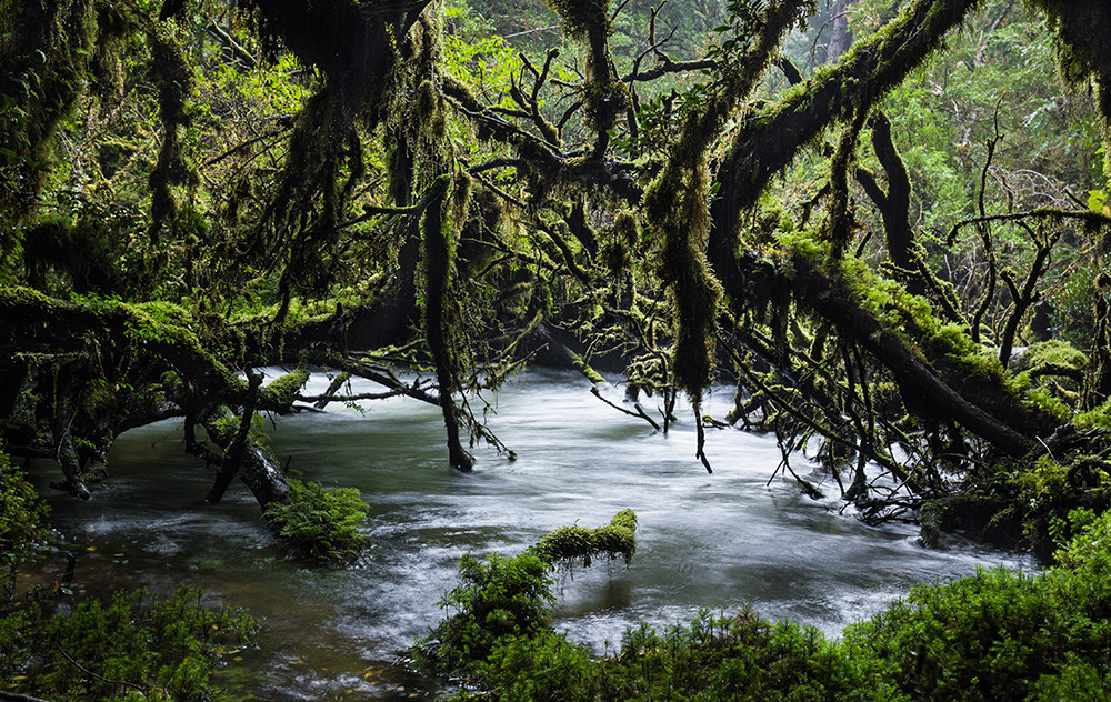 Gruppenreise geführte Mietwagenreise Patagonien - Lateinamerika