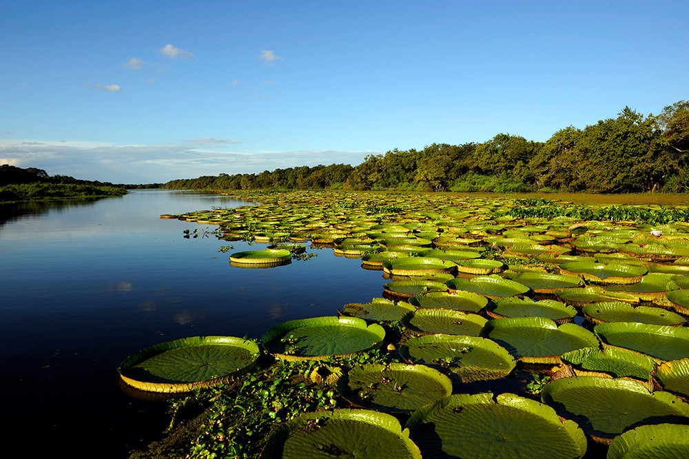 Individualreise Uruguay, Argentinien & Brasilien - Lateinamerika