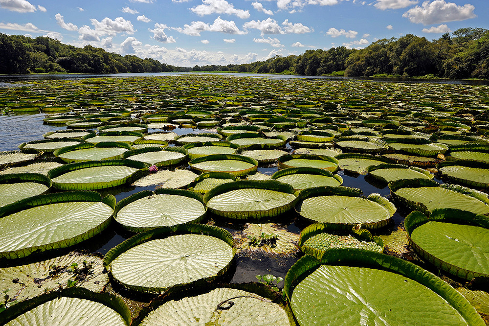Mietwagenreise Naturparadiese im Nordosten Argentiniens - Lateinamerika