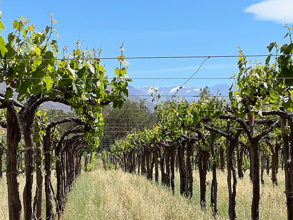 Mietwagenreise Puna & Hochland der Anden - Lateinamerika
