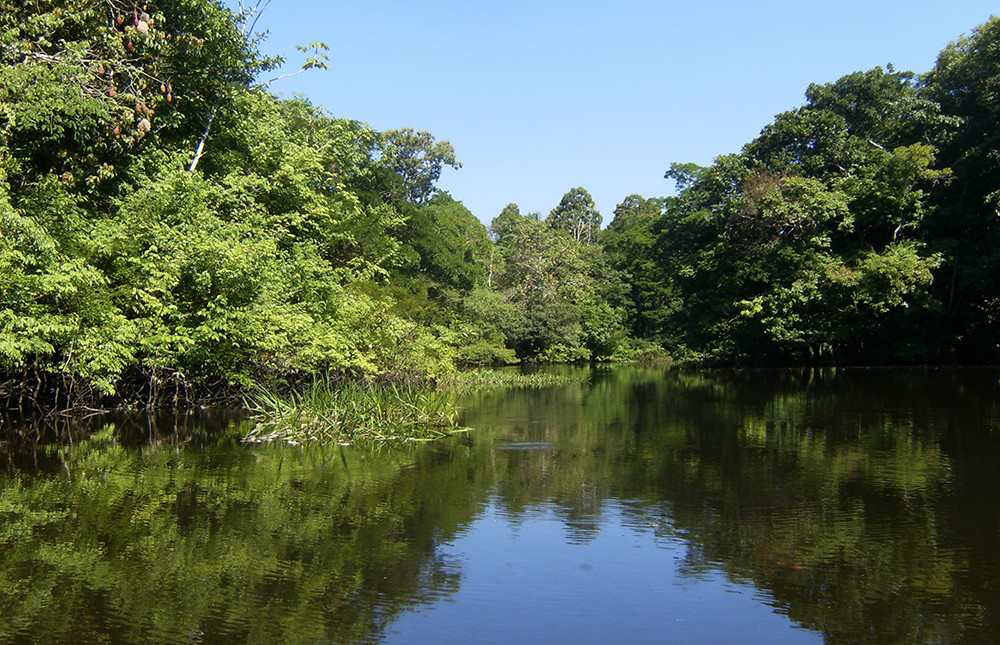 Gruppenreise Naturwunder Brasilien - Lateinamerika