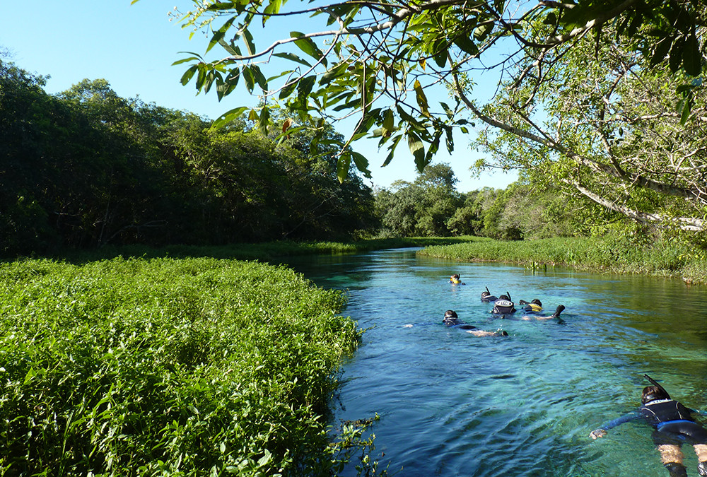 Gruppenreise Naturwunder Brasilien - Lateinamerika
