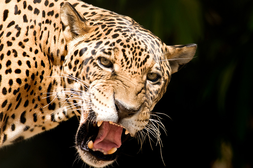Gruppenreise Naturwunder Brasilien - Lateinamerika