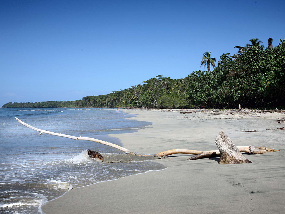 Mietwagenreise Costa Ricas Karibik & Süden - Lateinamerika