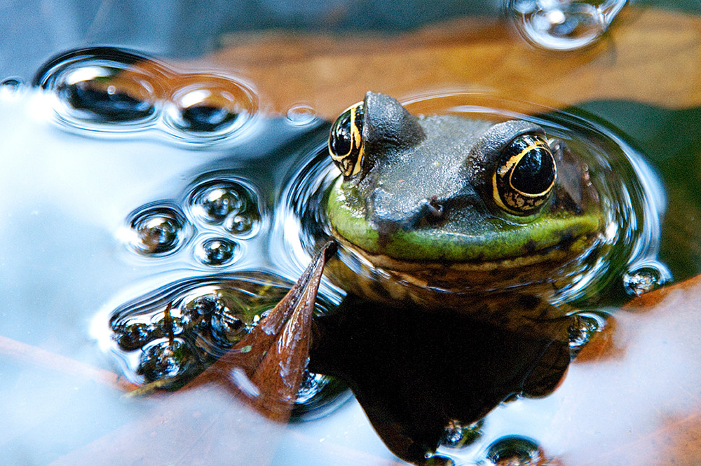 Individualreise Costa Rica Económico - Lateinamerika