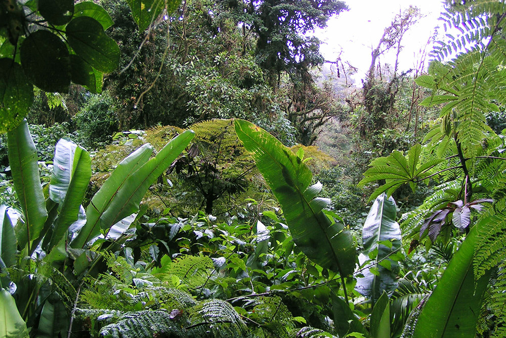 Gruppenreise Höhepunkte Nicaragua, Costa Rica & Panama - Lateinamerika