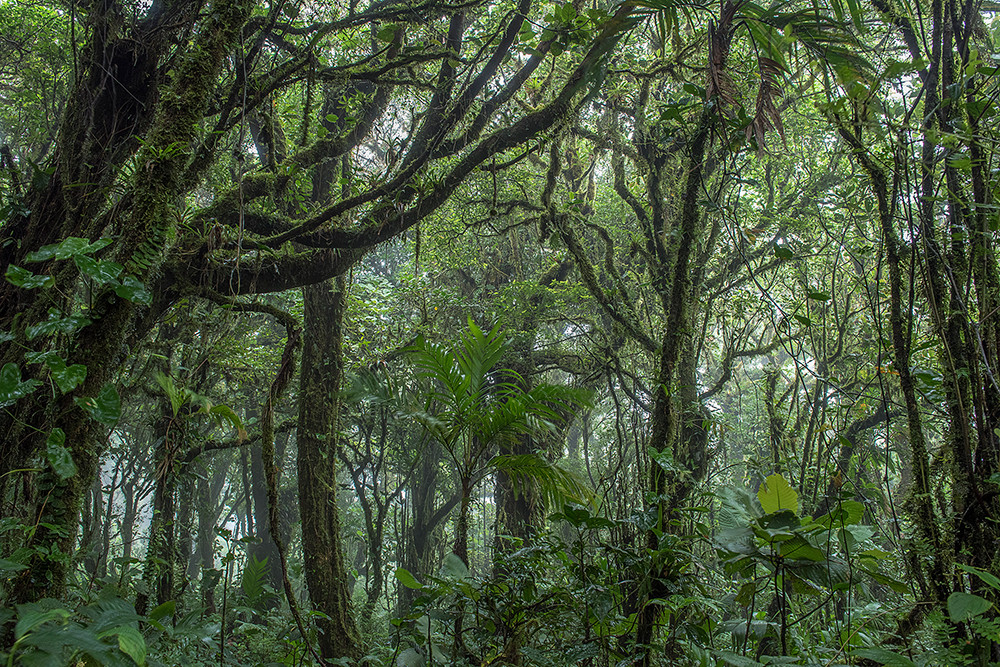 Mietwagenreise Costa Ricas Norden - Lateinamerika