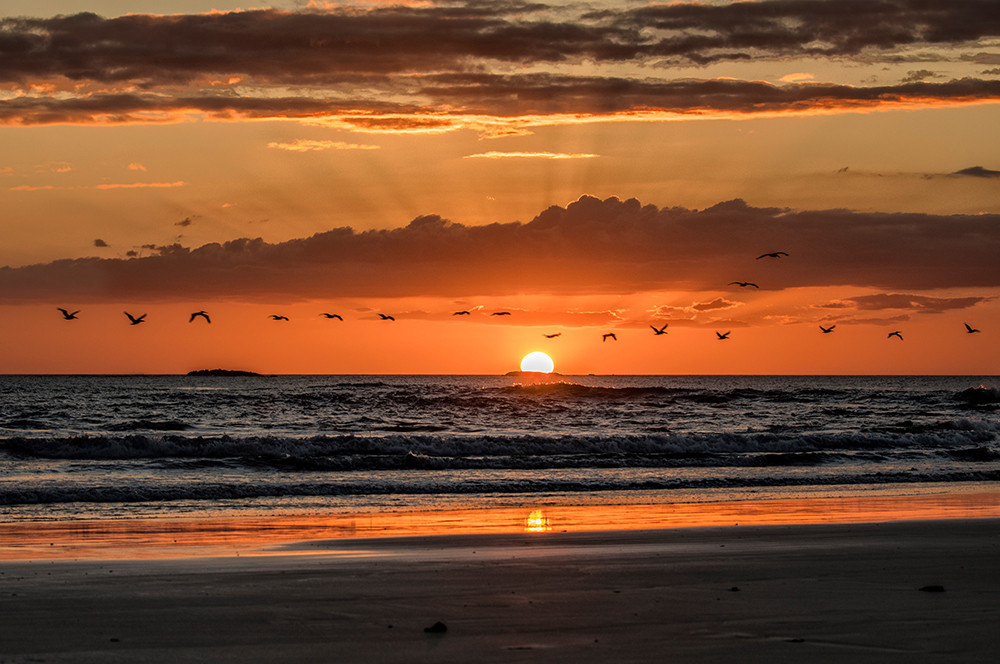 Individualreise Costa Rica Económico - Lateinamerika