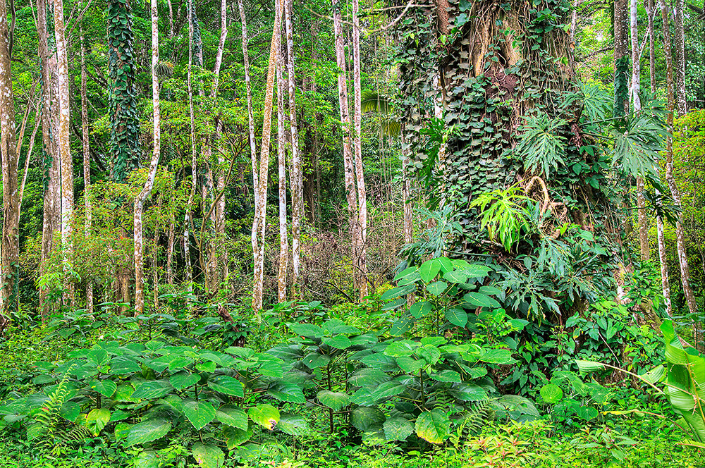 Gruppenreise Höhepunkte Nicaragua, Costa Rica & Panama - Lateinamerika