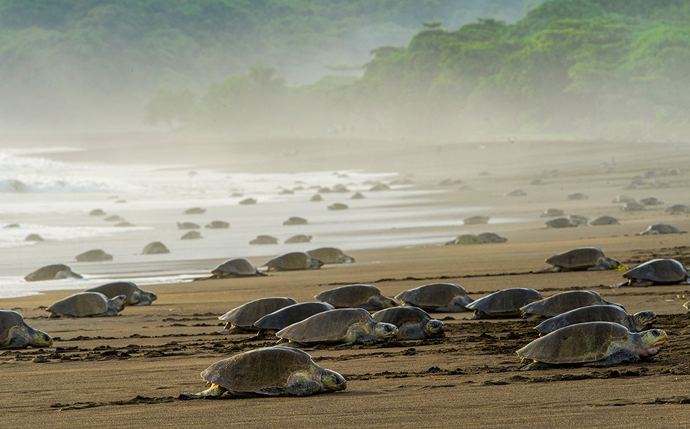 Mietwagenreise Costa Ricas Norden - Lateinamerika