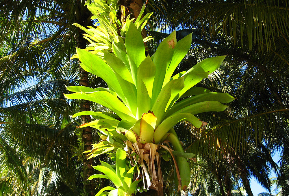 Gruppenreise Höhepunkte Nicaragua, Costa Rica & Panama - Lateinamerika