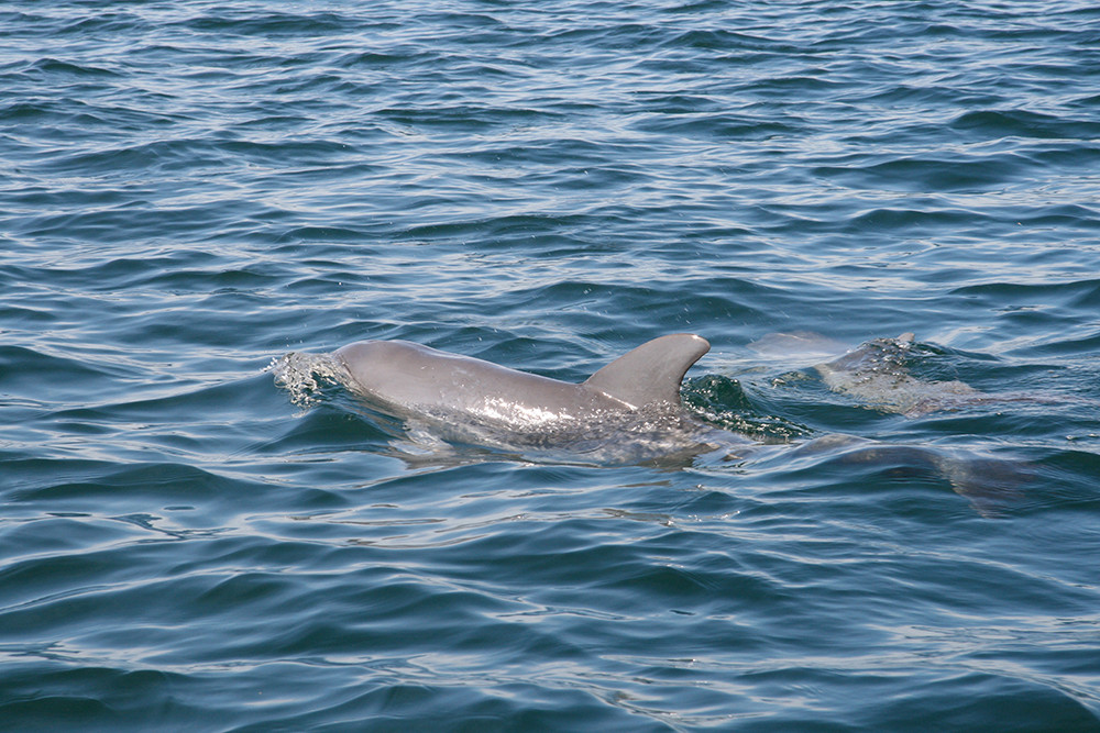 Mietwagenreise Panama intensiv mit San Blas - Lateinamerika