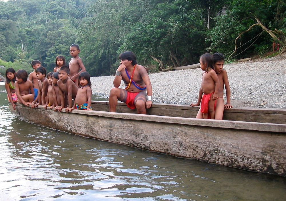 Baustein Regenwaldabenteuer Darién - Lateinamerika