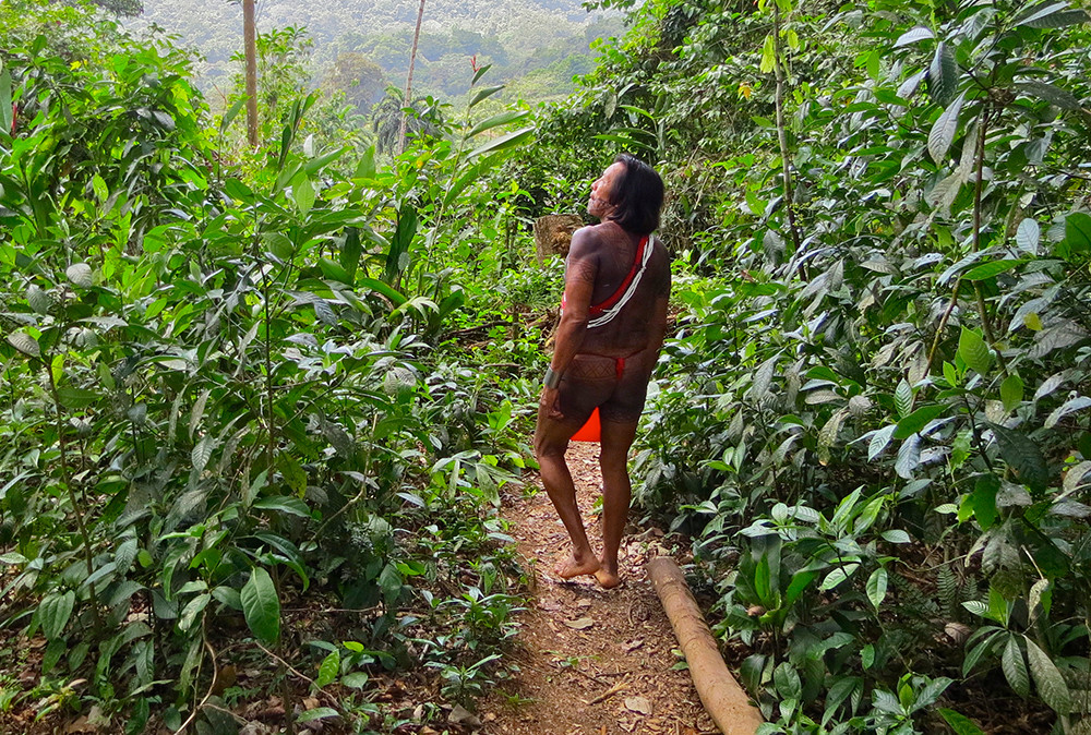 Baustein Regenwaldabenteuer Darién - Lateinamerika