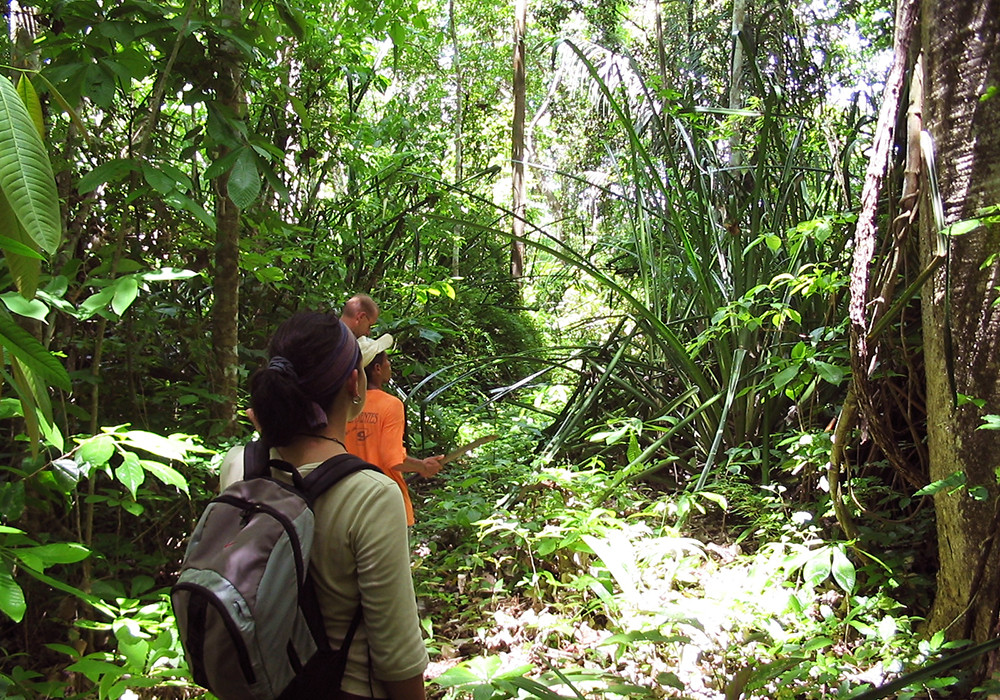 Baustein Regenwaldabenteuer Darién - Lateinamerika