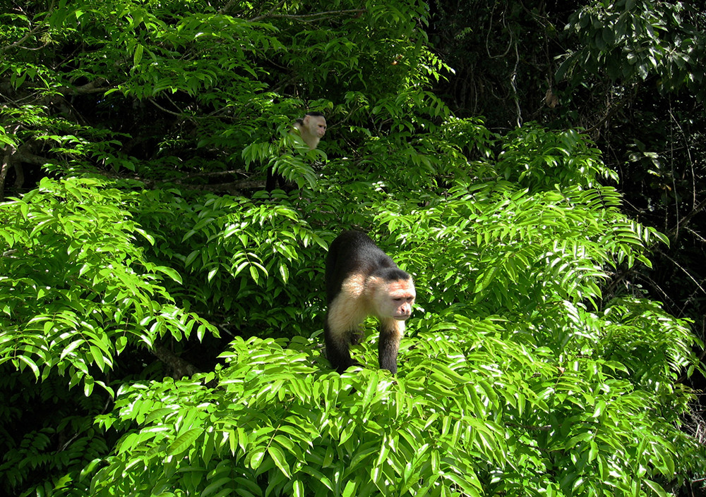 Gruppenreise Höhepunkte Nicaragua, Costa Rica & Panama - Lateinamerika