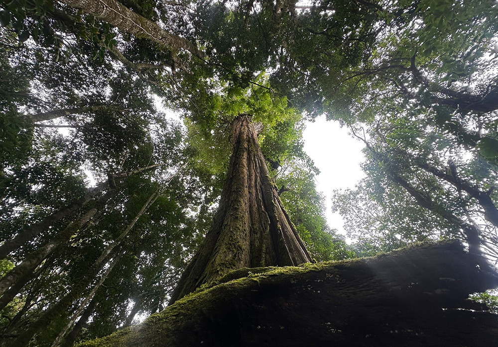 Mietwagenreise Panama intensiv mit San Blas - Lateinamerika