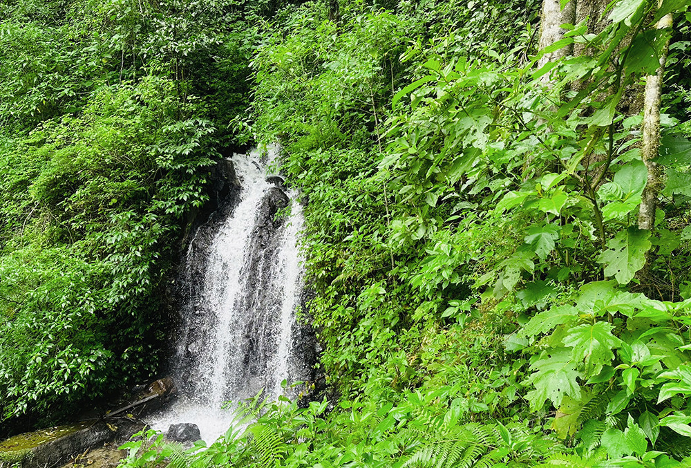 Gruppenreise Panama kompakt - Lateinamerika