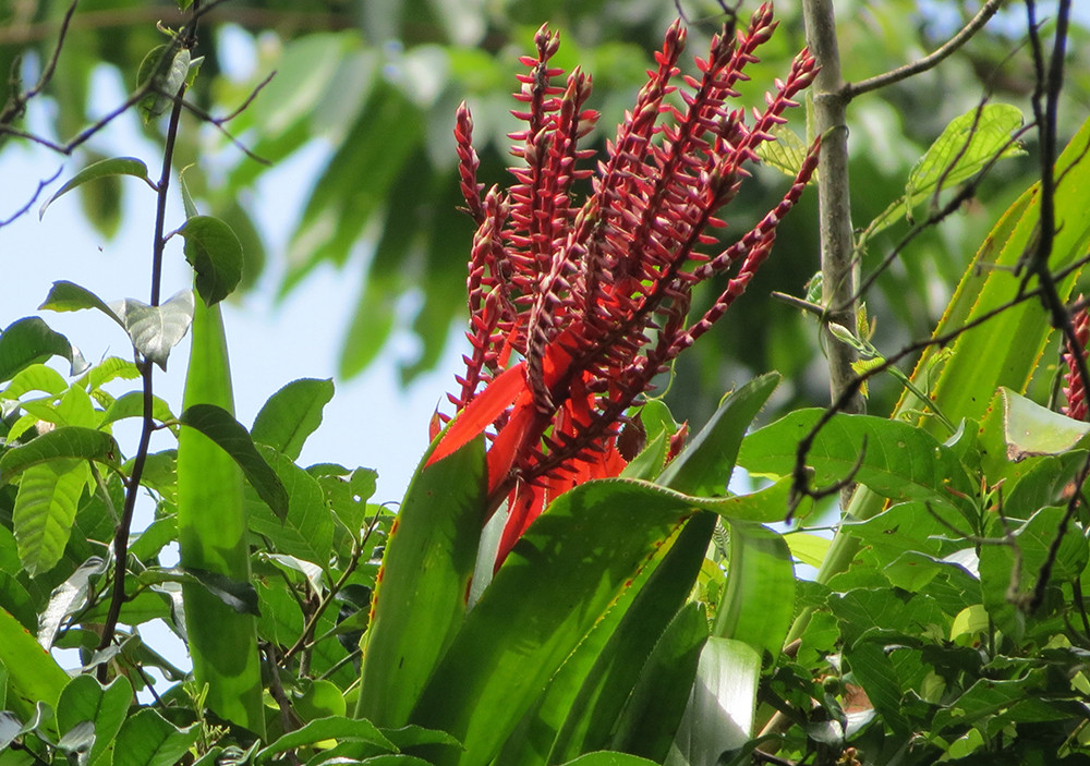 Gruppenreise Panama kompakt - Lateinamerika