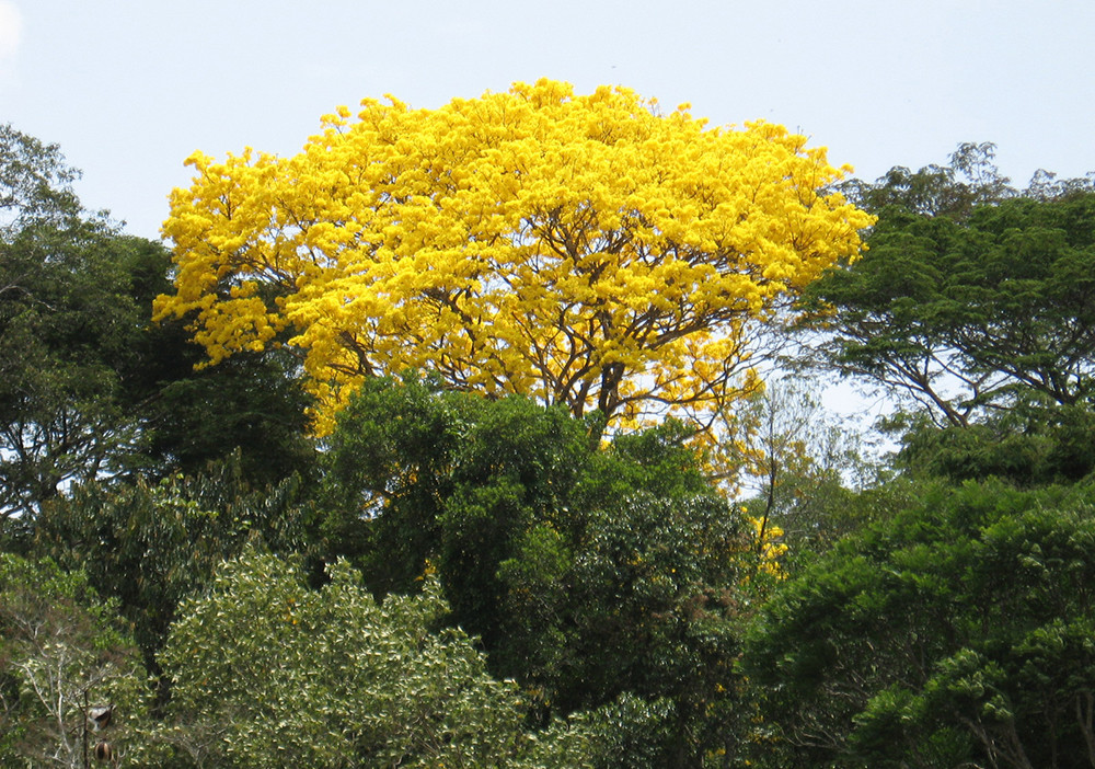 Mietwagenreise Höhepunkte Panama - Lateinamerika