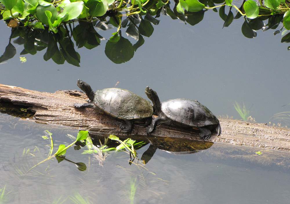 Gruppenreise Panama kompakt - Lateinamerika