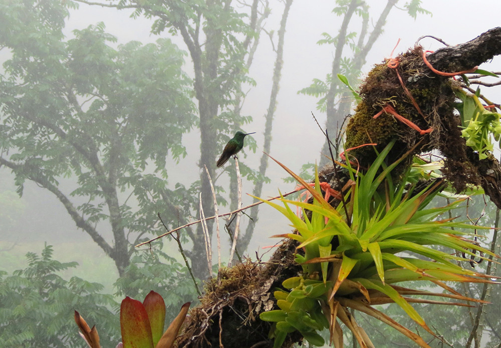 Mietwagenreise Panama intensiv mit San Blas - Lateinamerika