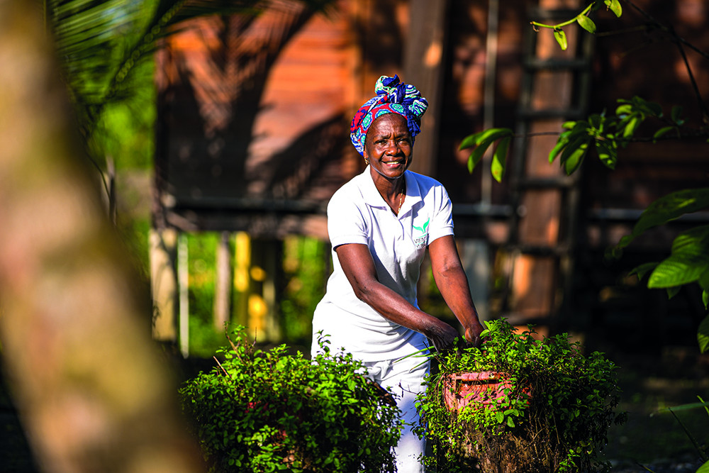 Individualreise Kolumbien intensiv - Lateinamerika