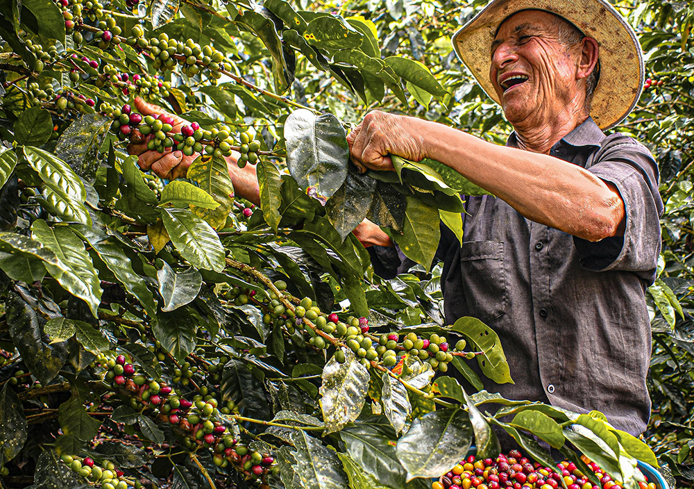 Gruppenreise Faszination Kolumbien - Lateinamerika