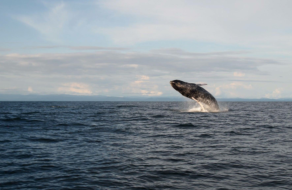 Individualreise Naturwunder Kolumbien - Lateinamerika