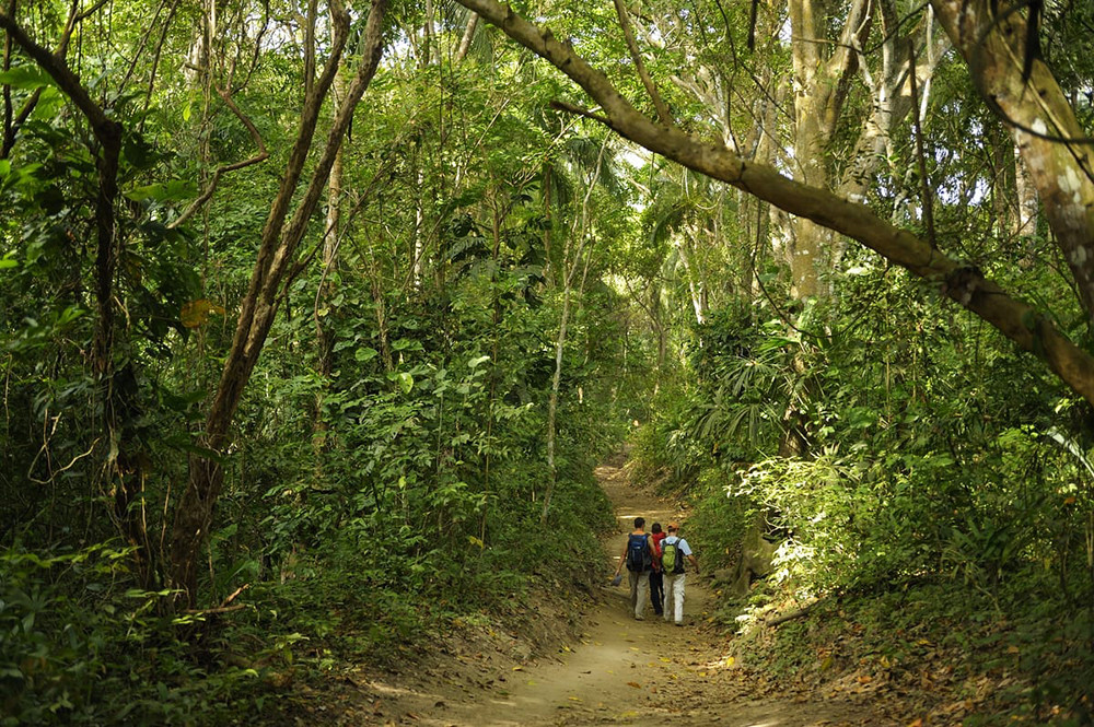 Individualreise Naturwunder Kolumbien - Lateinamerika