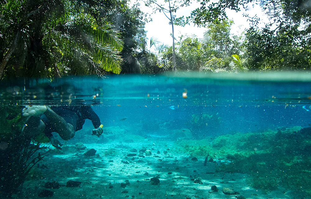 Gruppenreise Naturwunder Brasilien - Lateinamerika