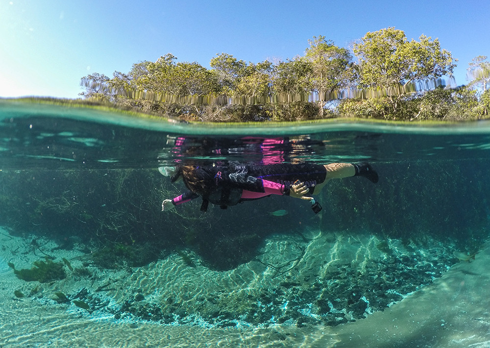 Mietwagenreise Pantanal & Bonito - Lateinamerika
