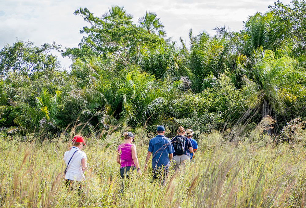 Mietwagenreise Pantanal & Bonito - Lateinamerika