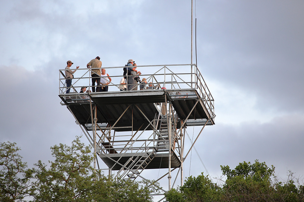 Mietwagenreise Mato Grosso - Cerrado, Amazonien & Pantanal - Lateinamerika