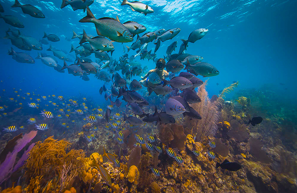 Kleine Mietwagenreise Belize - Lateinamerika